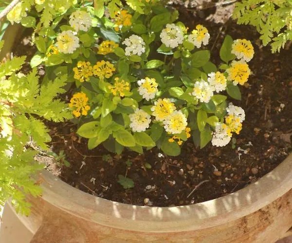 E La Cappella Del Convento Lejlighedshotel 3*