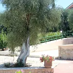 Hotel apartamentowy E La Cappella Del Convento 3*
