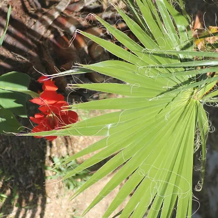 Ξενοδοχείο με διαμερίσματα E La Cappella Del Convento 3*